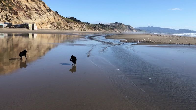 Fort Funston – San Francisco