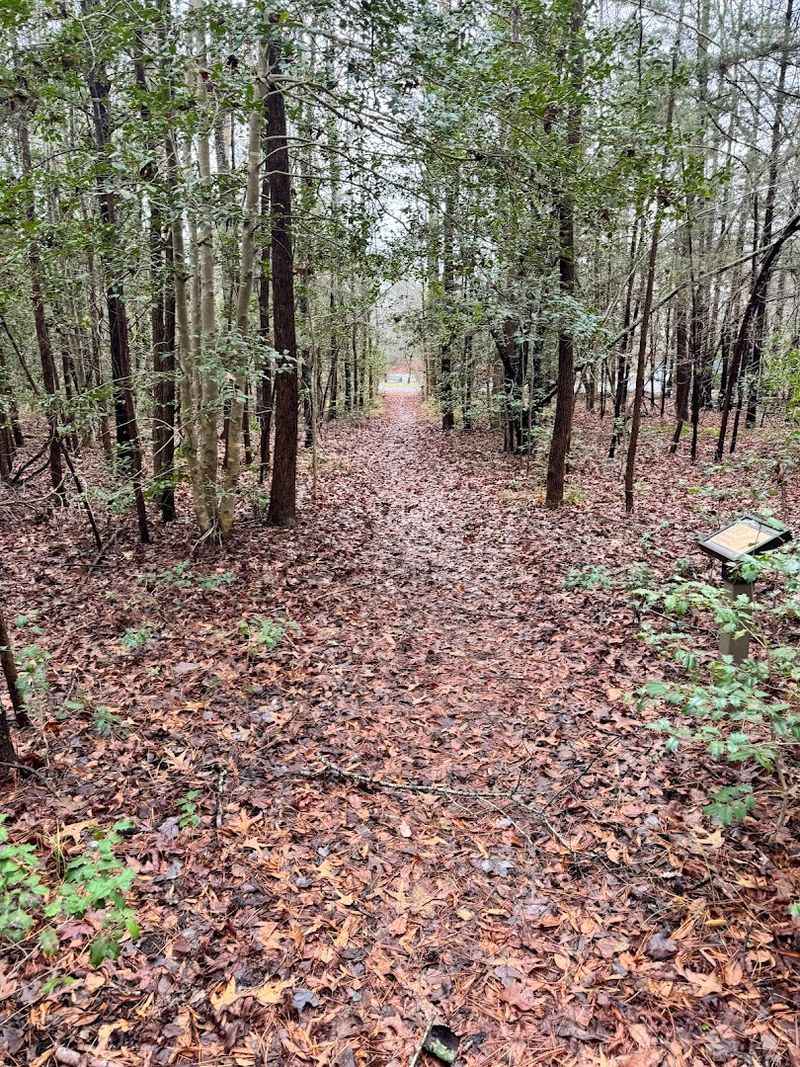 A 957-Acre Secret Hiding in Plain Sight Along Route 47