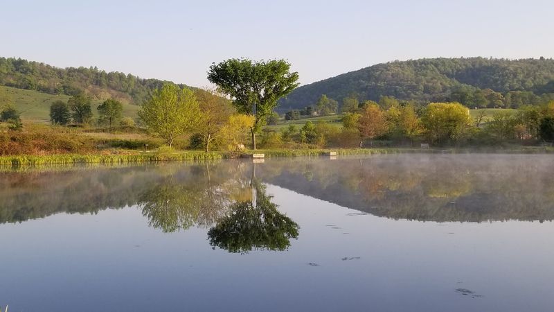 Stargazing Under Seriously Dark Skies