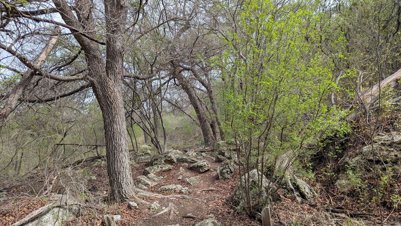 Hiking Through Landscape That Changes As You Walk