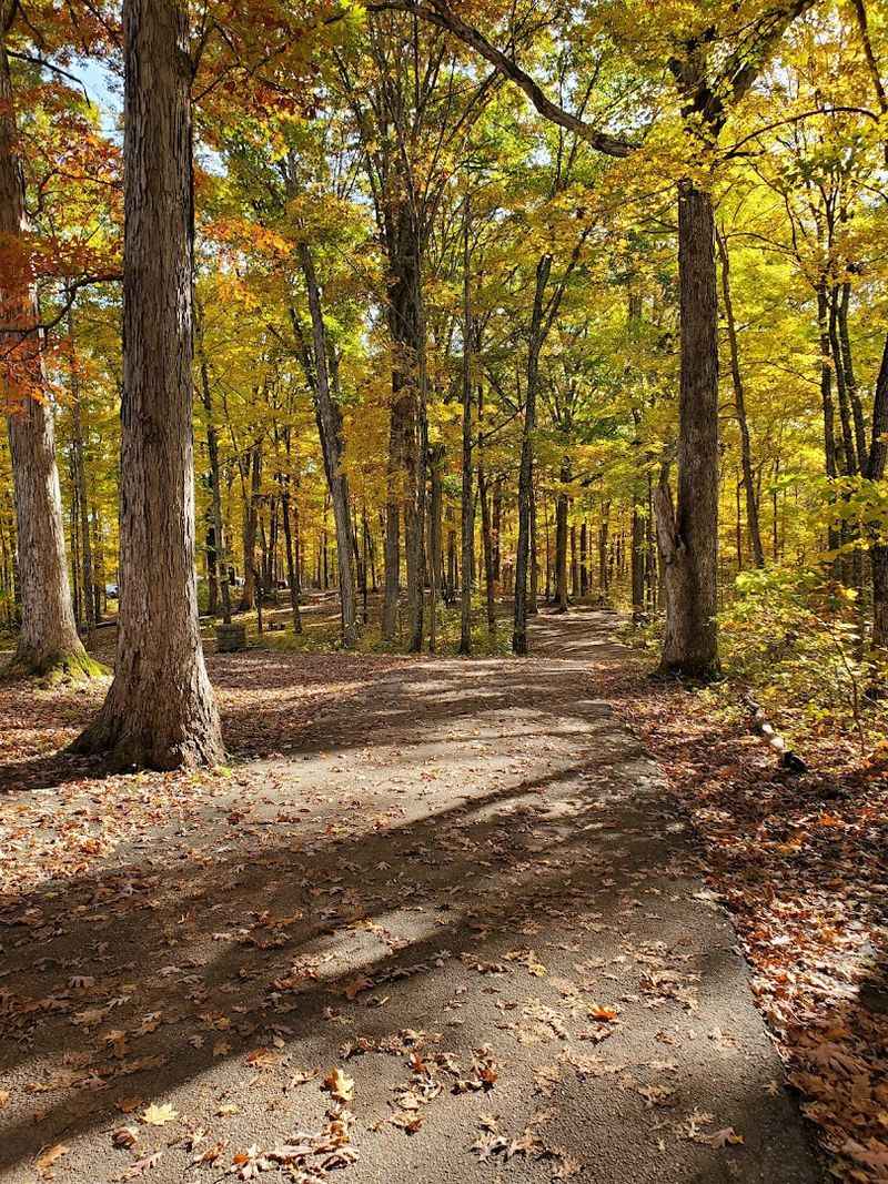 Horseback Riding on More Than 20 Miles of Scenic Trails