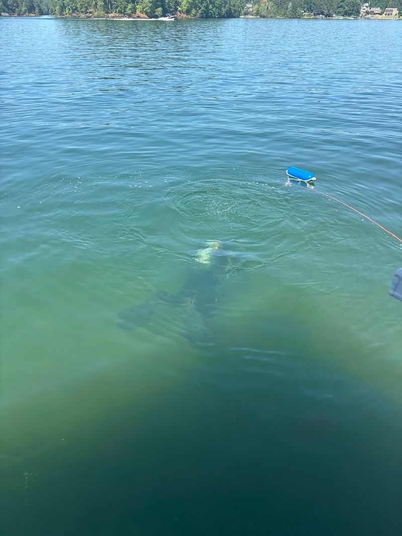 Divers Explore The Underwater Ruins