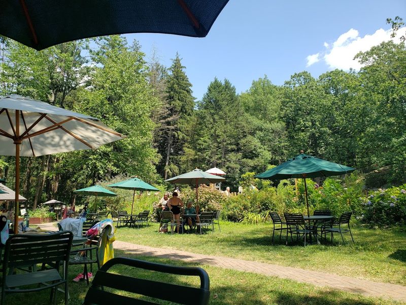 Snack Bar Bites That Hit Differently After a Cold Swim