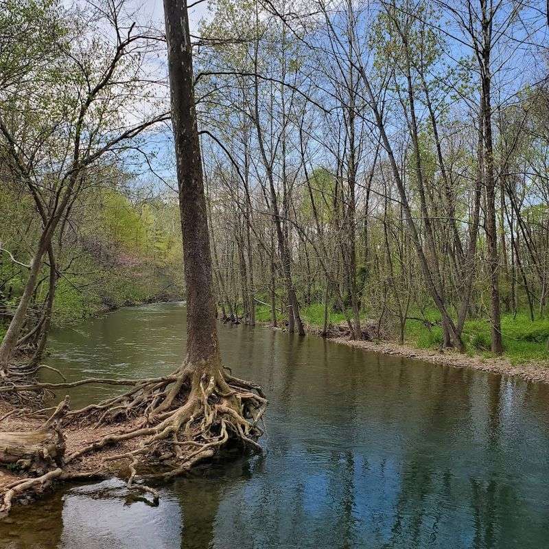 Planning Your Visit to Natural Chimneys Regional Park