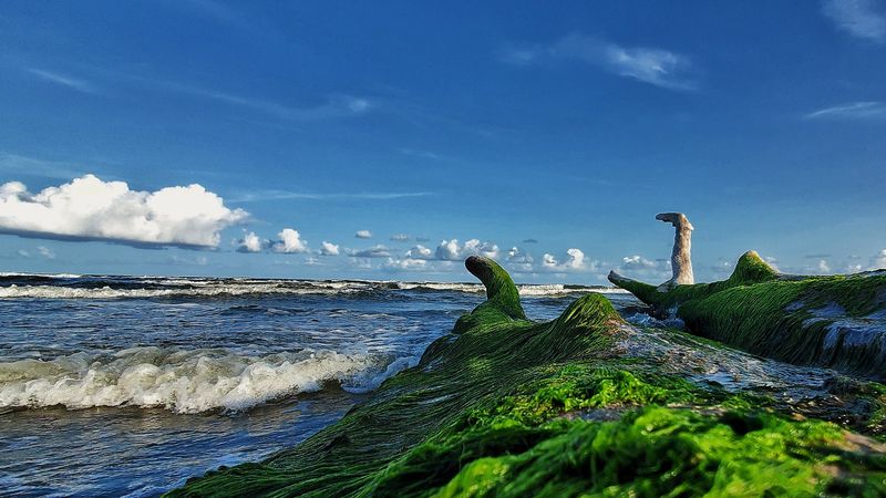 Surfside Beach