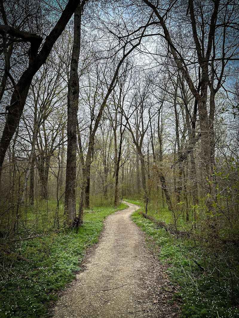 Forestville Adds More Depth Above Ground