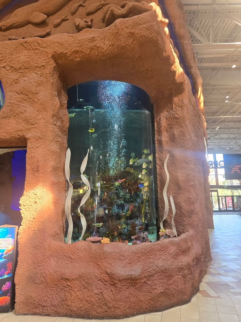 Reservations Are Worth Making Early, Especially on Weekends