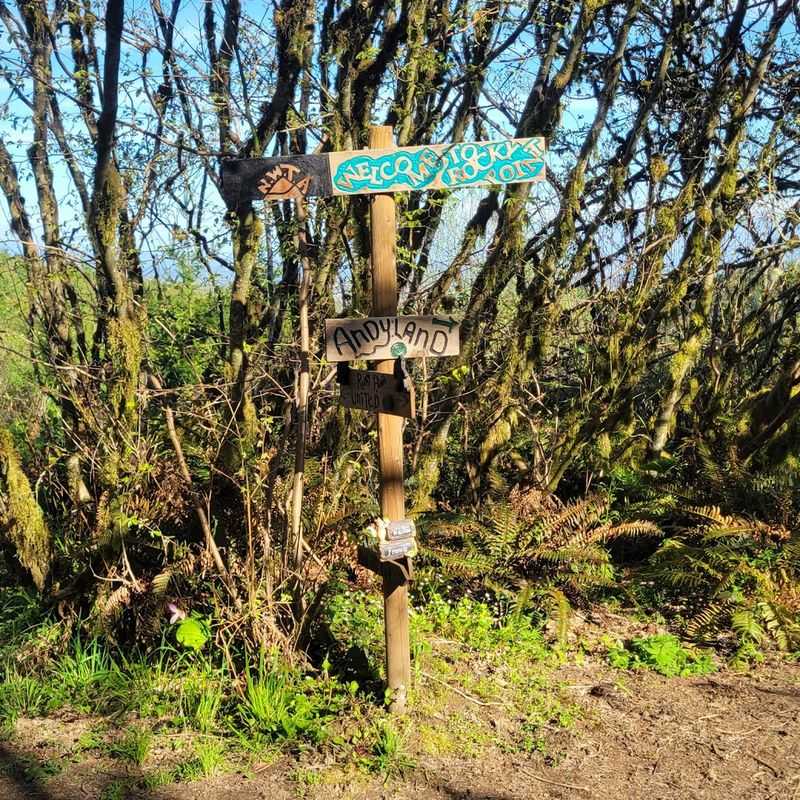 Getting to Rocky Point and Finding Your Way Around