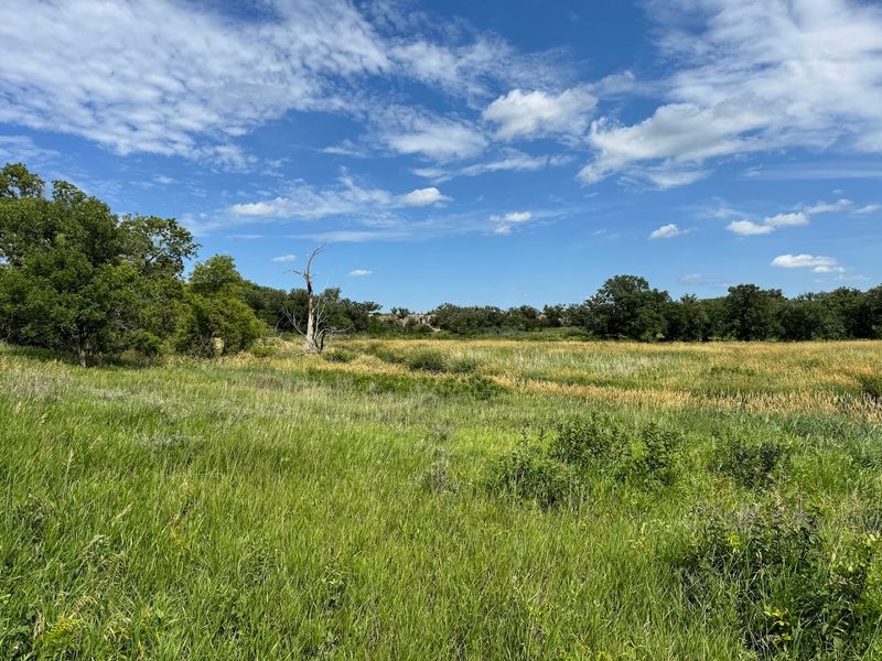 The Prairie Landscape and Wildlife