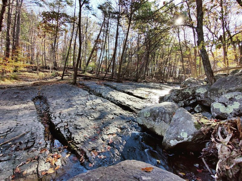 The Infamous 1737 Walking Purchase Acquired The Land