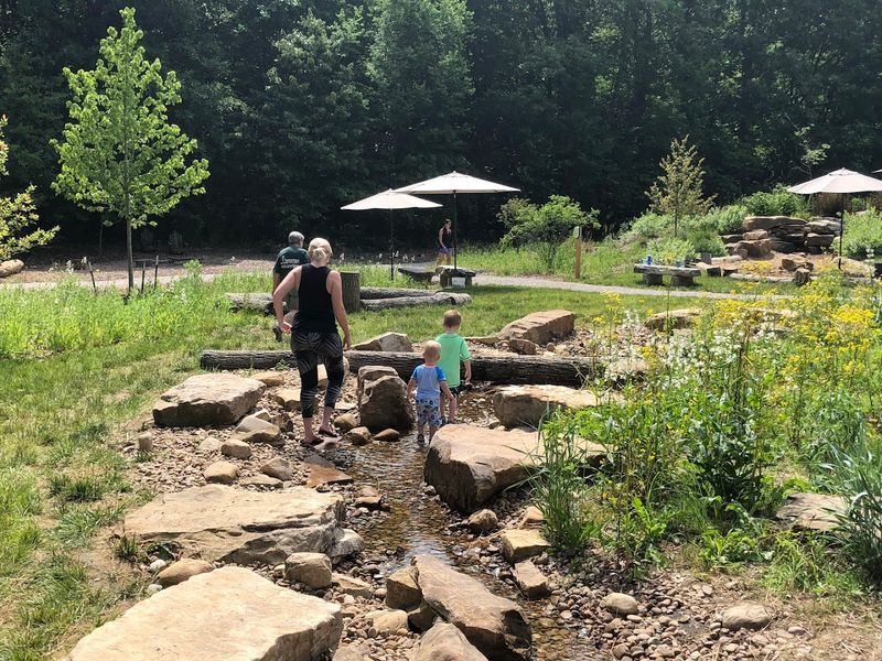 Wetlands And Water Features Inside The Forest