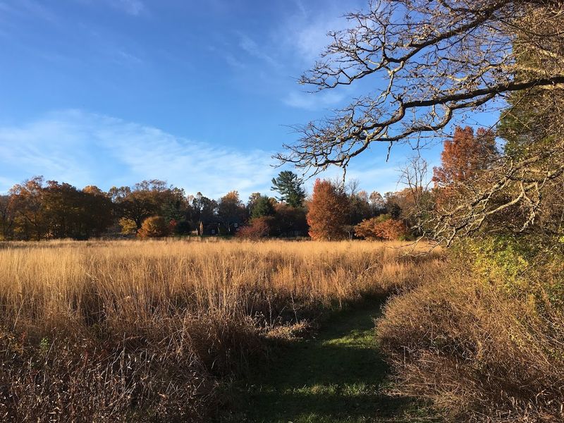 Woodland and Meadow Trails That Extend the Adventure