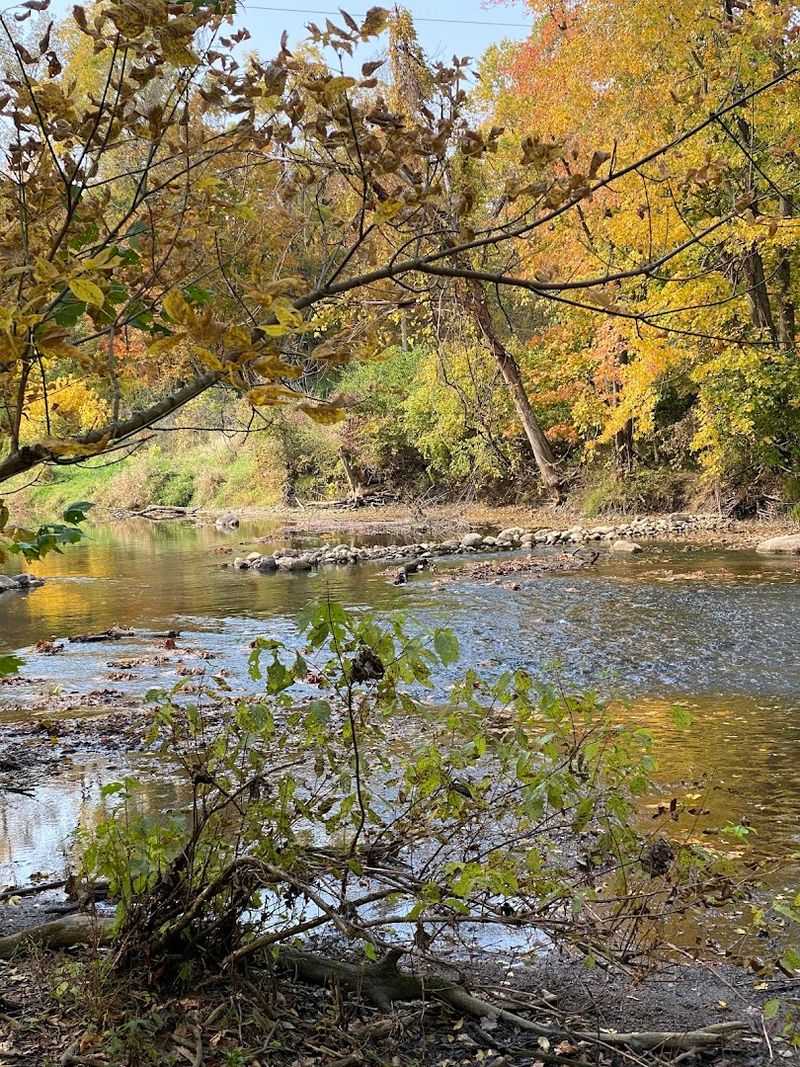 Wildlife Watching and Photography Opportunities