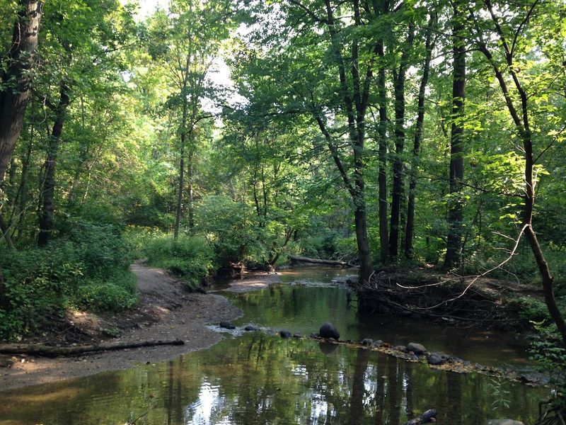 Cool Creek Offers Perfect Spots for Creek Stomping
