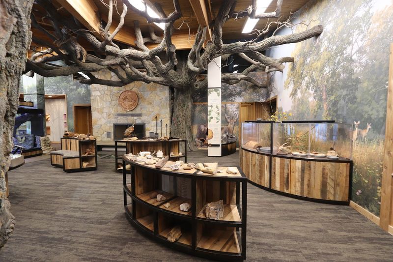 Practical Tips for Planning Your Visit