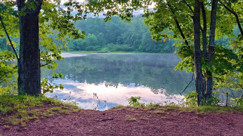 Scout Pond, the Quiet Fishing Spot Tucked in the Southwest Corner