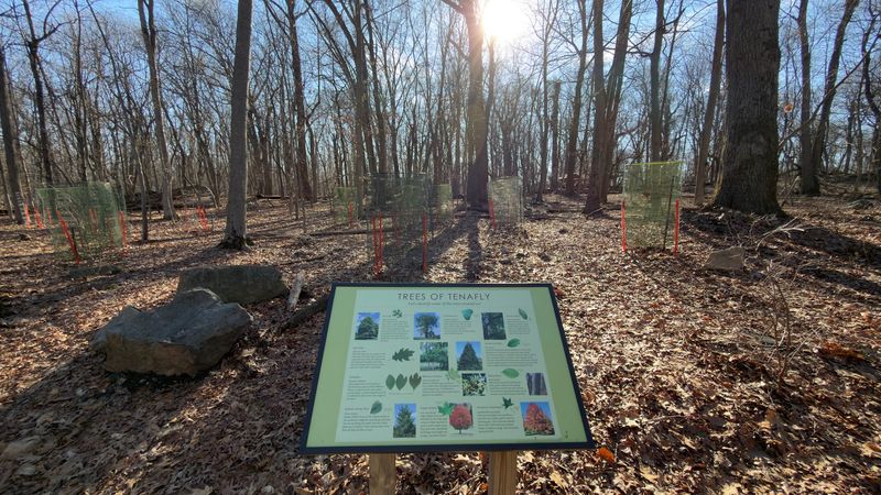 Birds of Prey, Butterflies, and Frogs: The Living Exhibits
