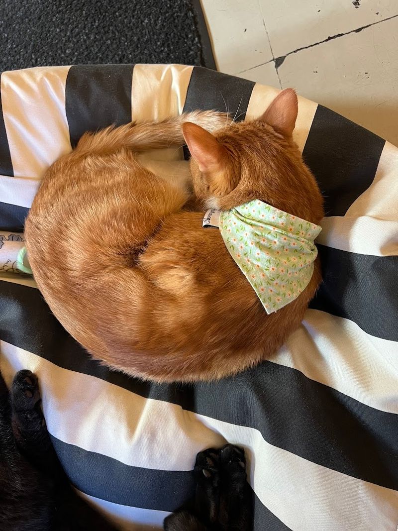 One Last Look At The Window Before The Street Calls Back