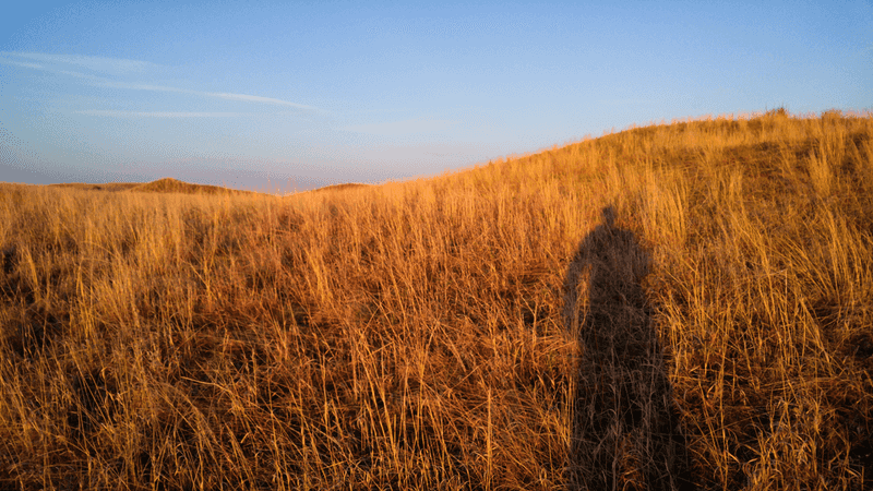 The Sheer Scale of the Sandhills Will Catch You Off Guard