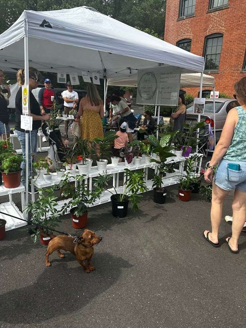 Columbus Indiana Farmer's Market