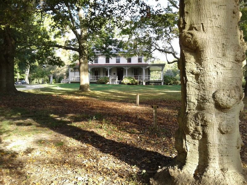 The Historic Grounds of Paulsdale: Where It All Began