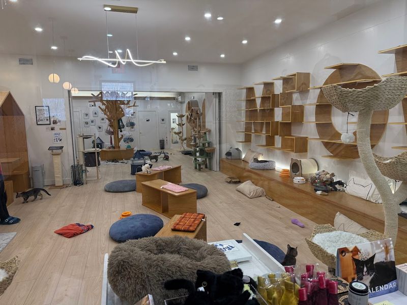 A Former Boxing Gym With Built In Ventilation