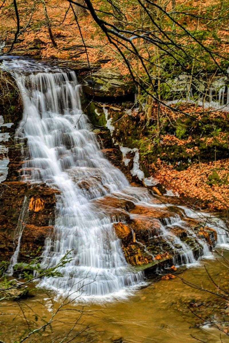 Bridal Veil Falls, Olean