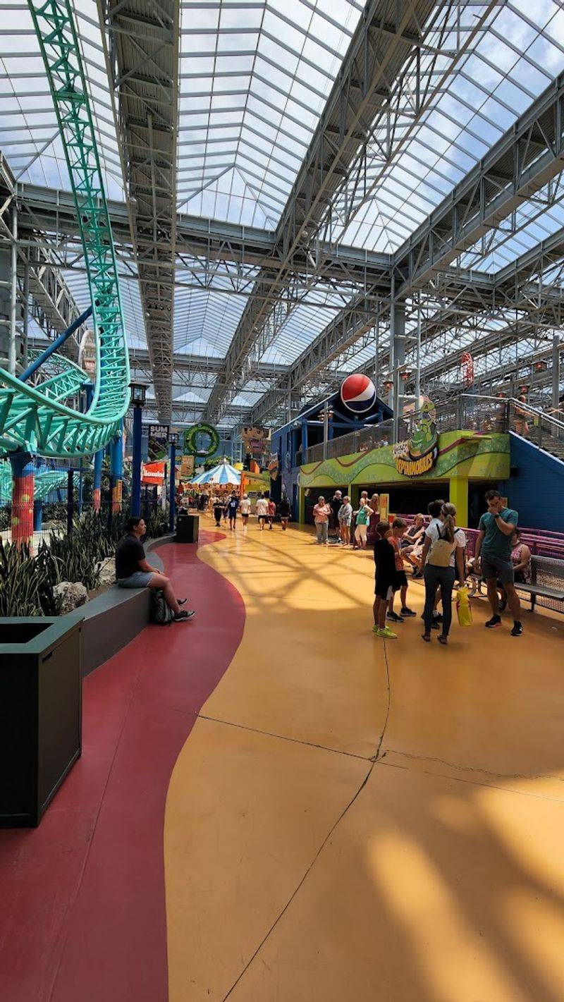 SEA LIFE Minnesota Aquarium: An Underwater World Beneath the Mall
