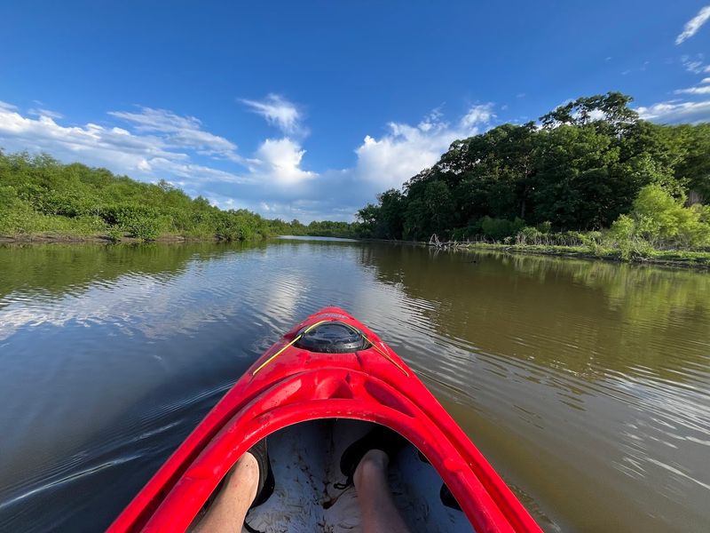 Fishing at Long Branch: Patience Rewarded