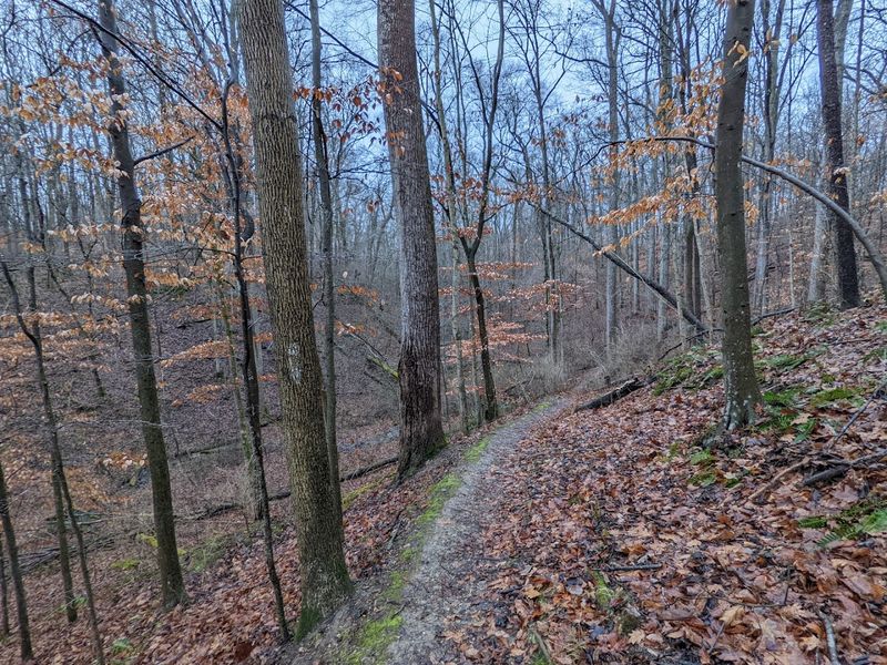 Equestrian Trails That Make Horseback Riders Feel Right at Home