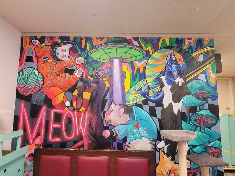 The Walls Tell Their Own Story