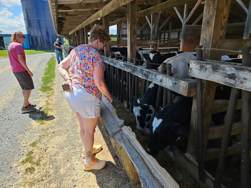 Sustainable Farming Practices That Make the Whole Operation Worth Rooting For