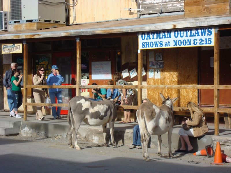What to Do in Oatman Beyond the Burros