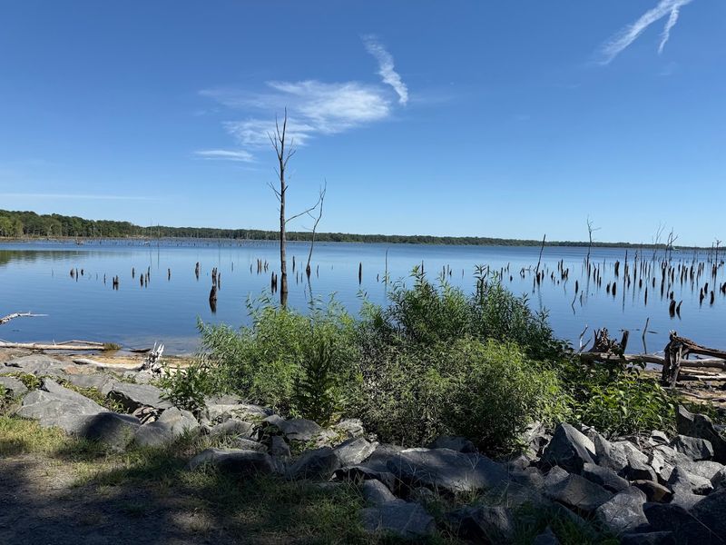 Manasquan Reservoir Cove Trail