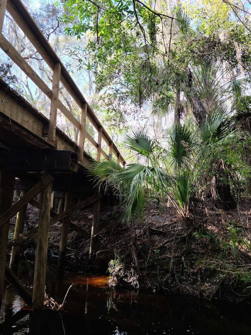 Deep Ravines and Creek Crossings Add to the Adventure