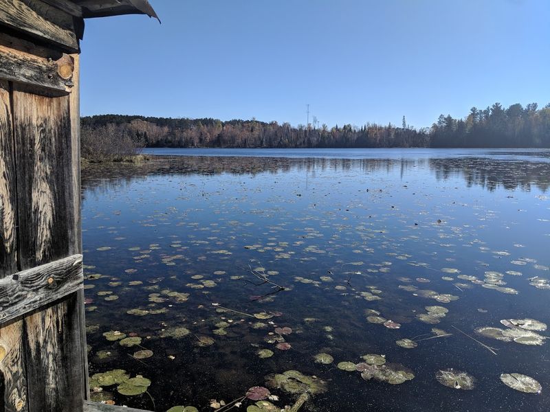 Bog Boardwalks and Wetland Wonders