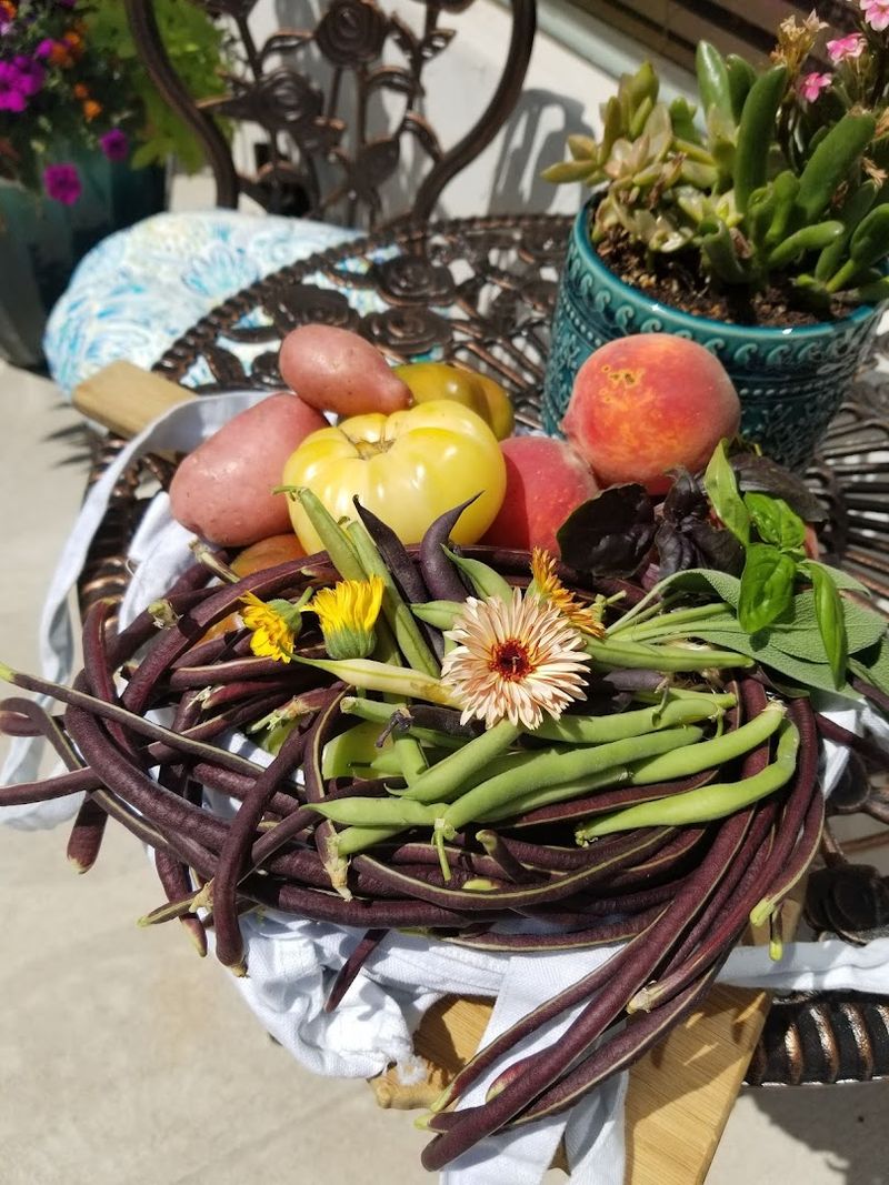 Local Pecans and Oklahoma-Grown Specialty Products