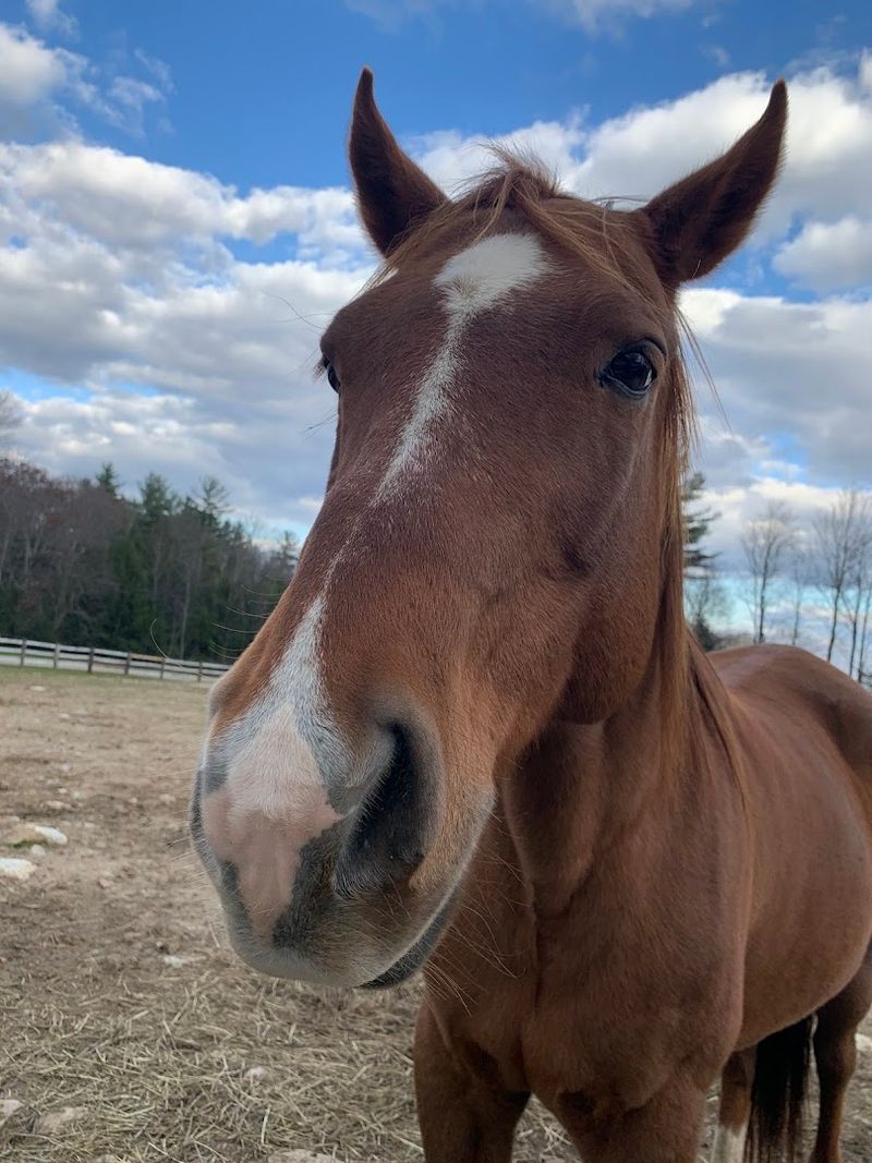 How to Support the Farm and Find It for Yourself