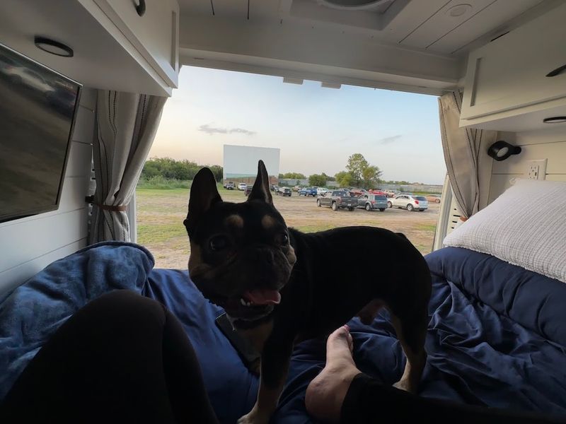 Pet-Friendly Policy Makes It a Family Affair