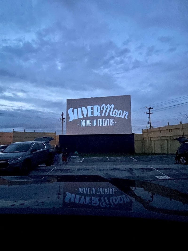 Last Drive-In In Polk County