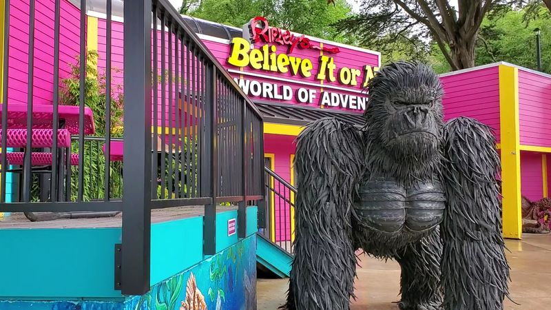 The Gift Shop Full of Strange and Memorable Finds