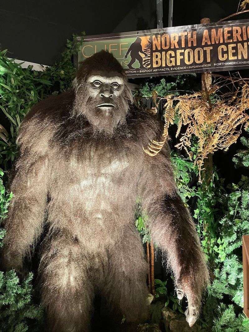 The Story Behind the North American Bigfoot Center
