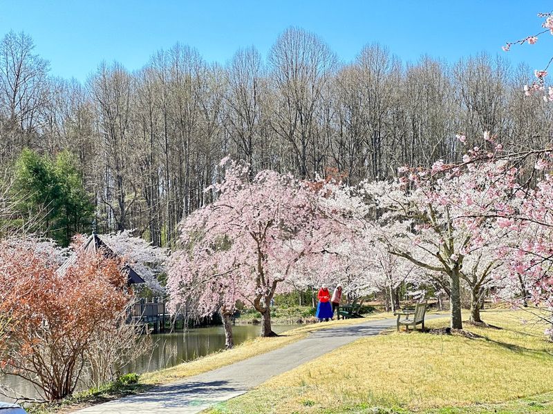 Paved Trails for Every Pace: Accessibility Meets Natural Beauty