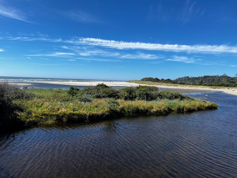 Ona Beach State Park, Newport, Oregon