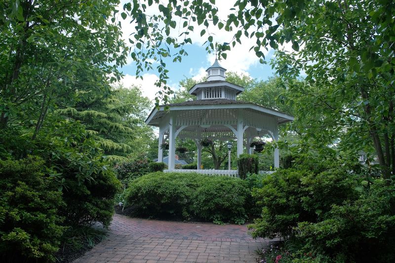 Nearly 500 Rhododendrons That Make the Garden Feel Endless