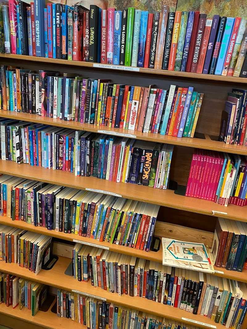 Books, Toys, and Electronics Worth Digging For