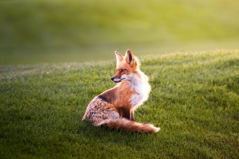 Educational Nature Center Houses Live Animals and Exhibits