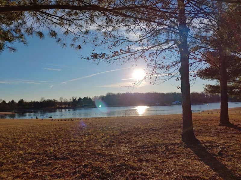 Picnic Shelters Perfect for Gatherings Big and Small