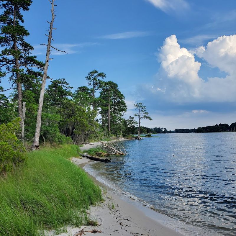 Kayaking and Paddling Adventures