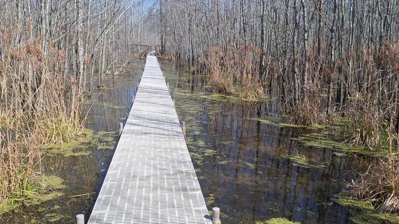 World-Class Bird Watching Recognized by the National Audubon Society